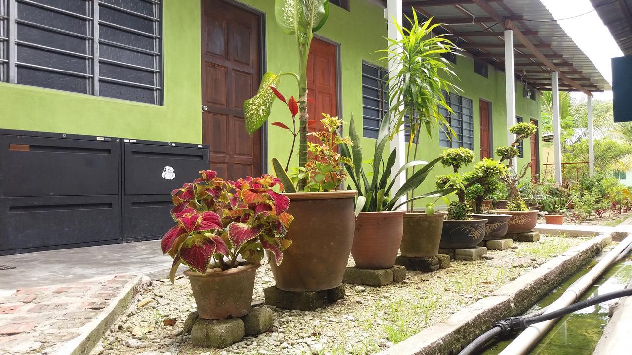 Tony'S Guesthouse At Teluk Bahang Batu Ferringhi Exterior foto